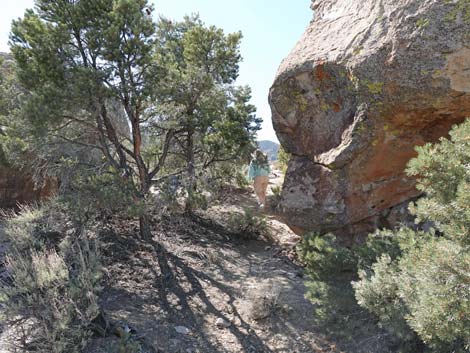Paiute Rock Site 5