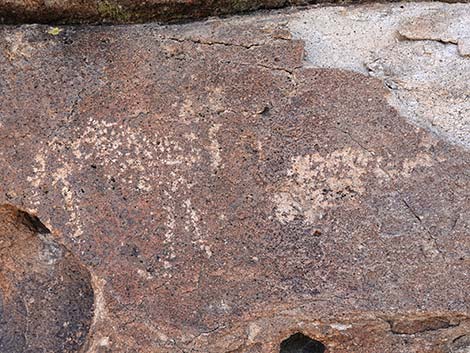 Paiute Rock