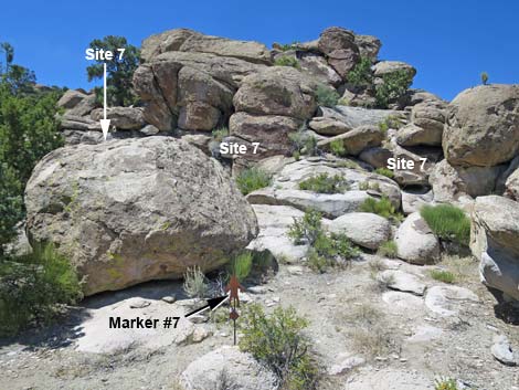 Shaman Hill