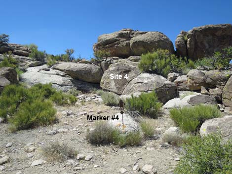 Shaman Hill