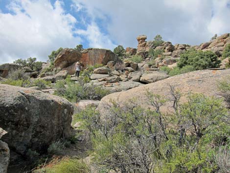 Shaman Hill