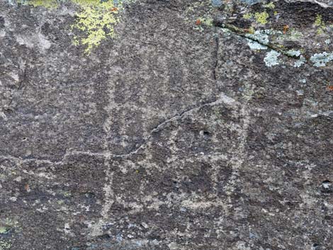 Shaman Hill