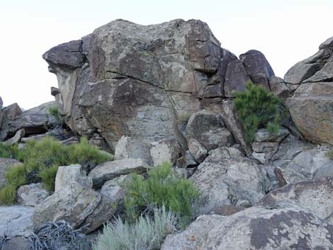 Shaman Knob Site 1