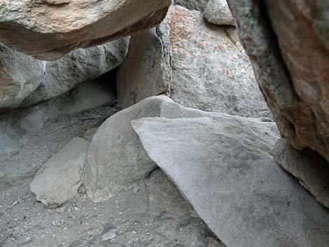 Shaman Knob Site 1