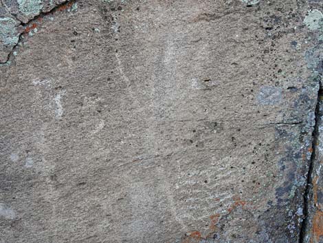 Shaman Knob Site 4