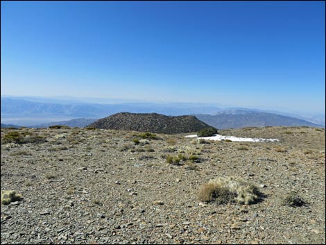 Wildrose Peak