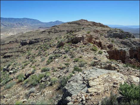Bitter Ridge